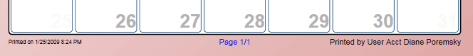 Custom CPA Footer