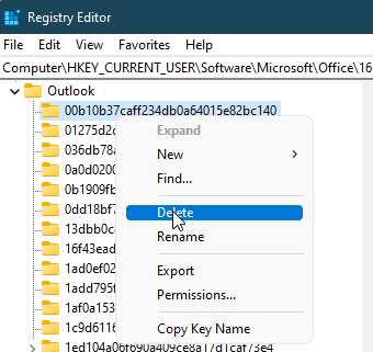 delete the entire registry key