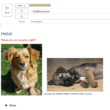 VBA to convert document to email